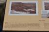 dsc_6978_fs_small.jpg