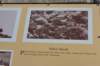 dsc_6983_fs_small.jpg