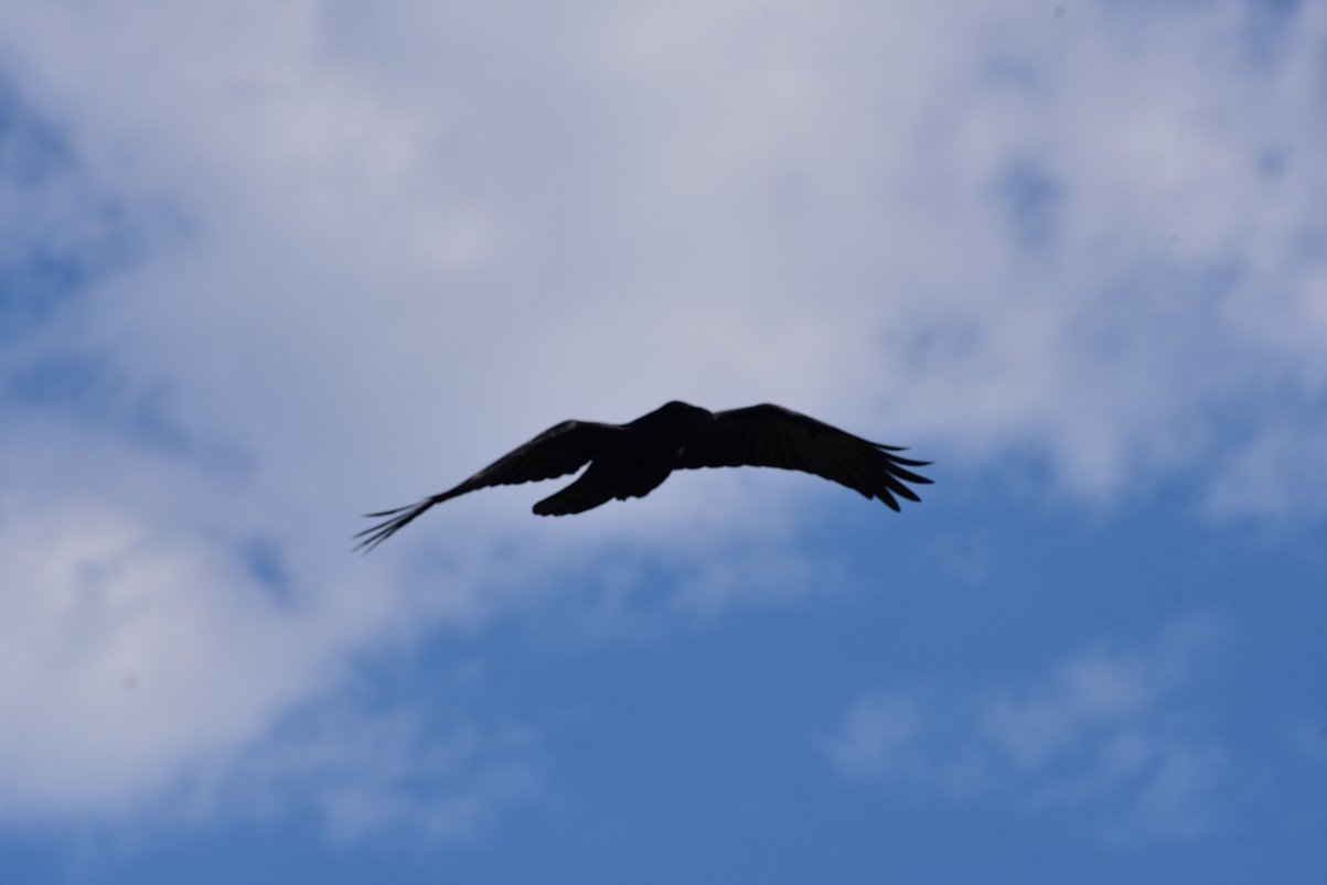 dsc_7015_fs.jpg