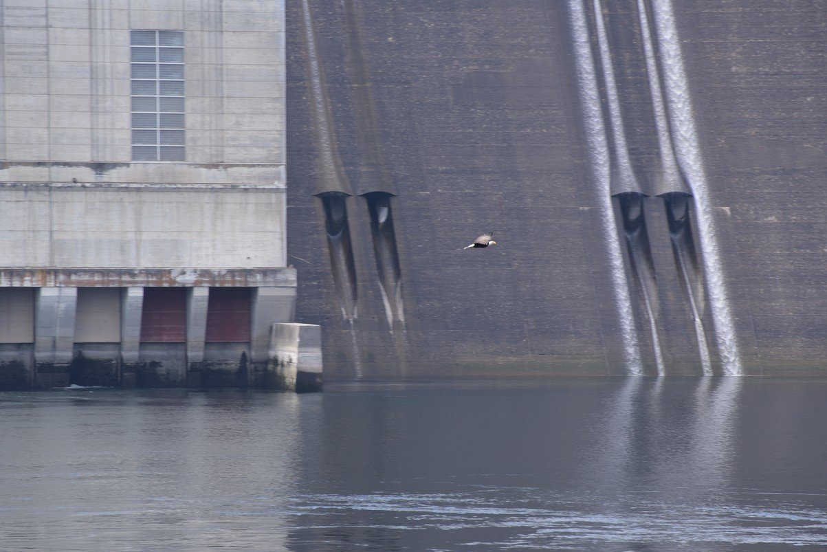 dsc_7056_fs.jpg