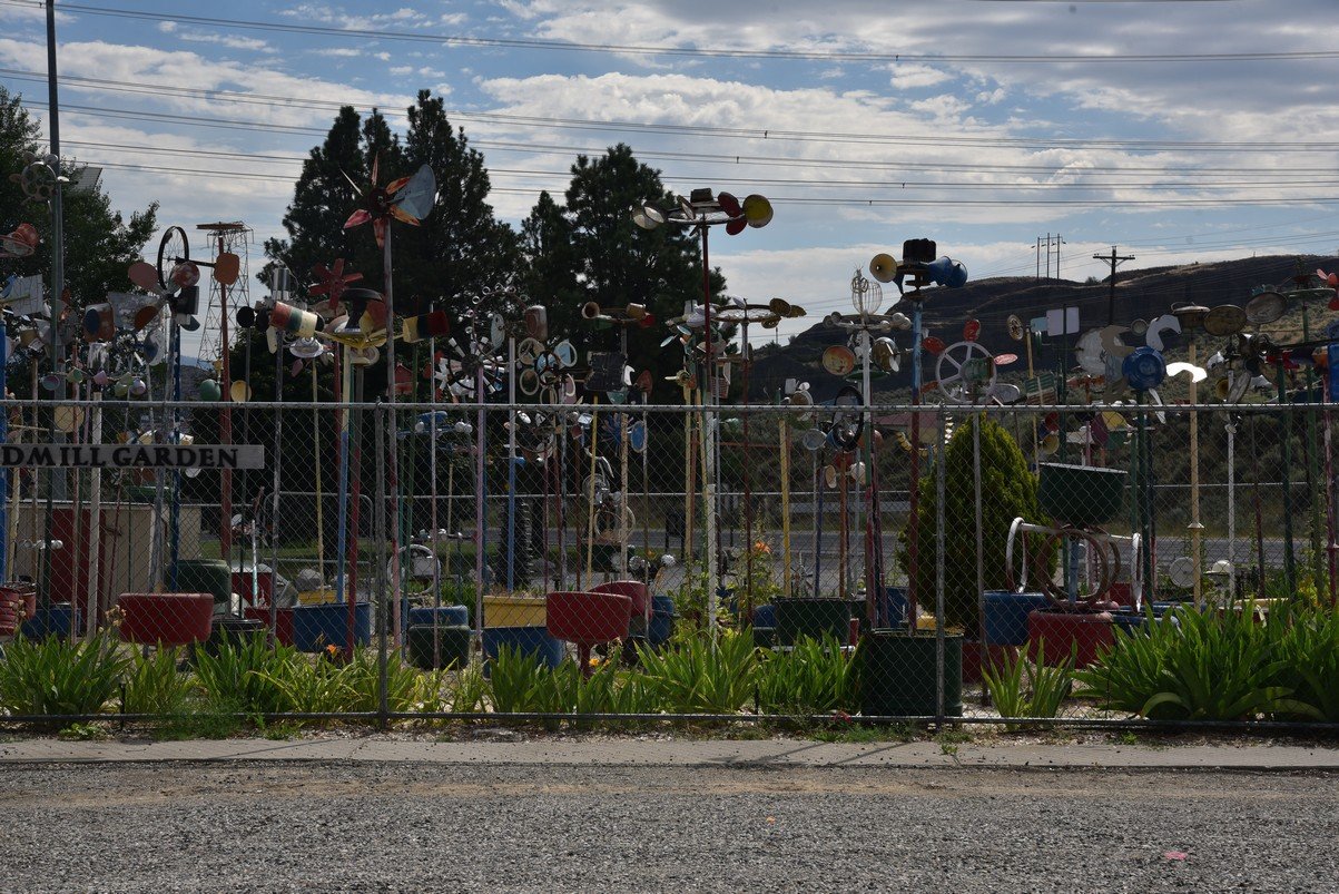 dsc_7109_fs.jpg