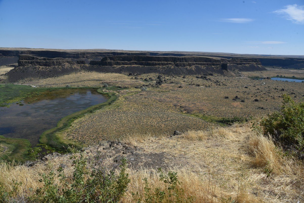 dsc_7202_fs.jpg