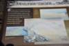 dsc_7209_fs_small.jpg