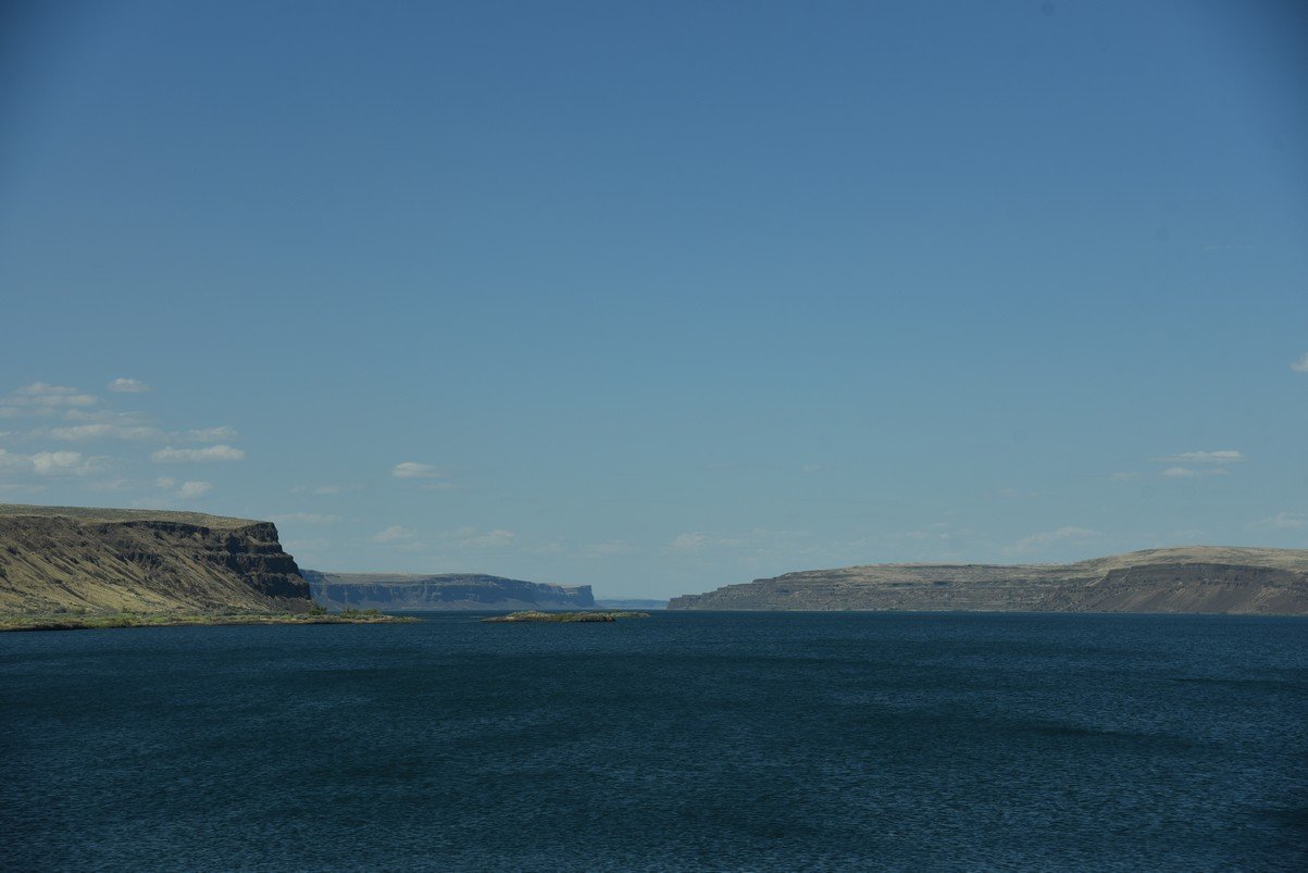 dsc_7236_fs.jpg