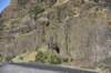 dsc_7260_fs_small.jpg