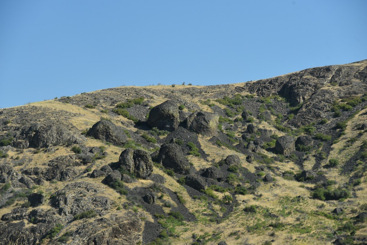 dsc_7301_fs.jpg