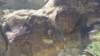 _150546_fs_small.jpg