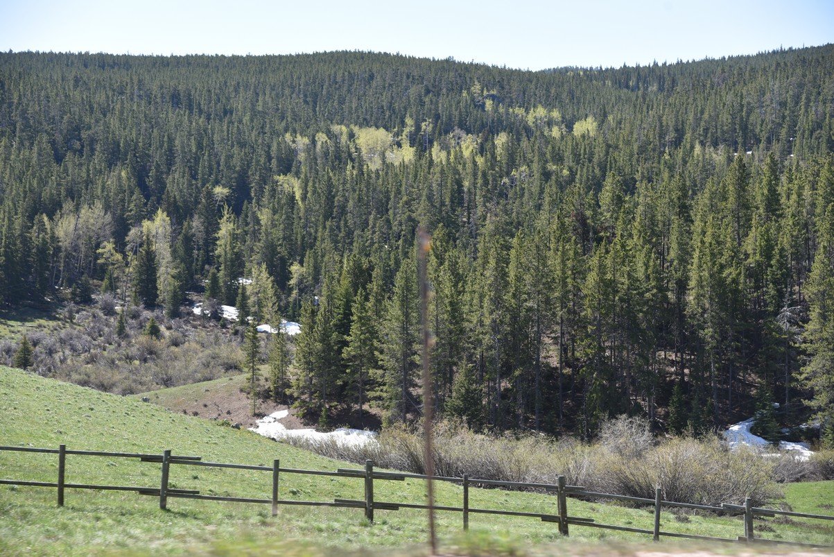 dsc_7705_fs.jpg