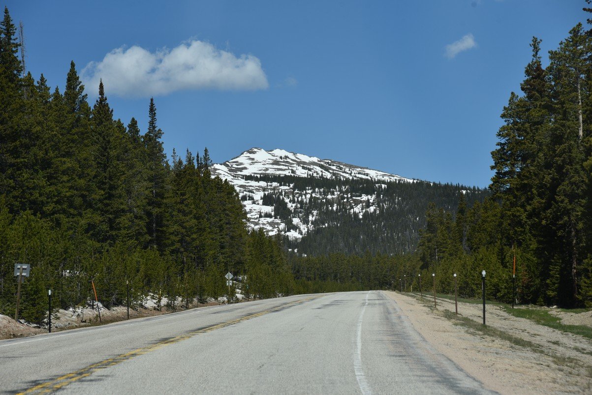dsc_7733_fs.jpg