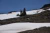 dsc_7747_fs_small.jpg