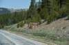 dsc_7777meadowlakeskilodge_small.jpg