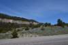 dsc_7804_fs_small.jpg
