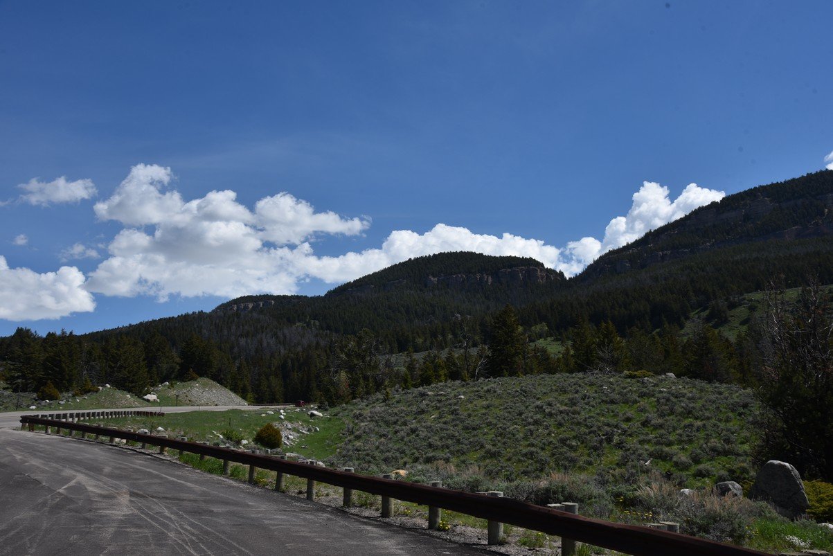 dsc_7808_fs.jpg