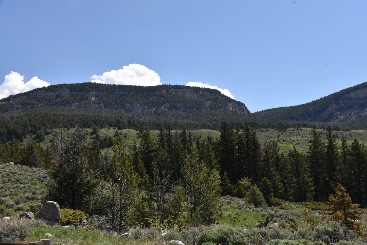 dsc_7810_fs.jpg