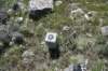 dsc_7824_fs_small.jpg