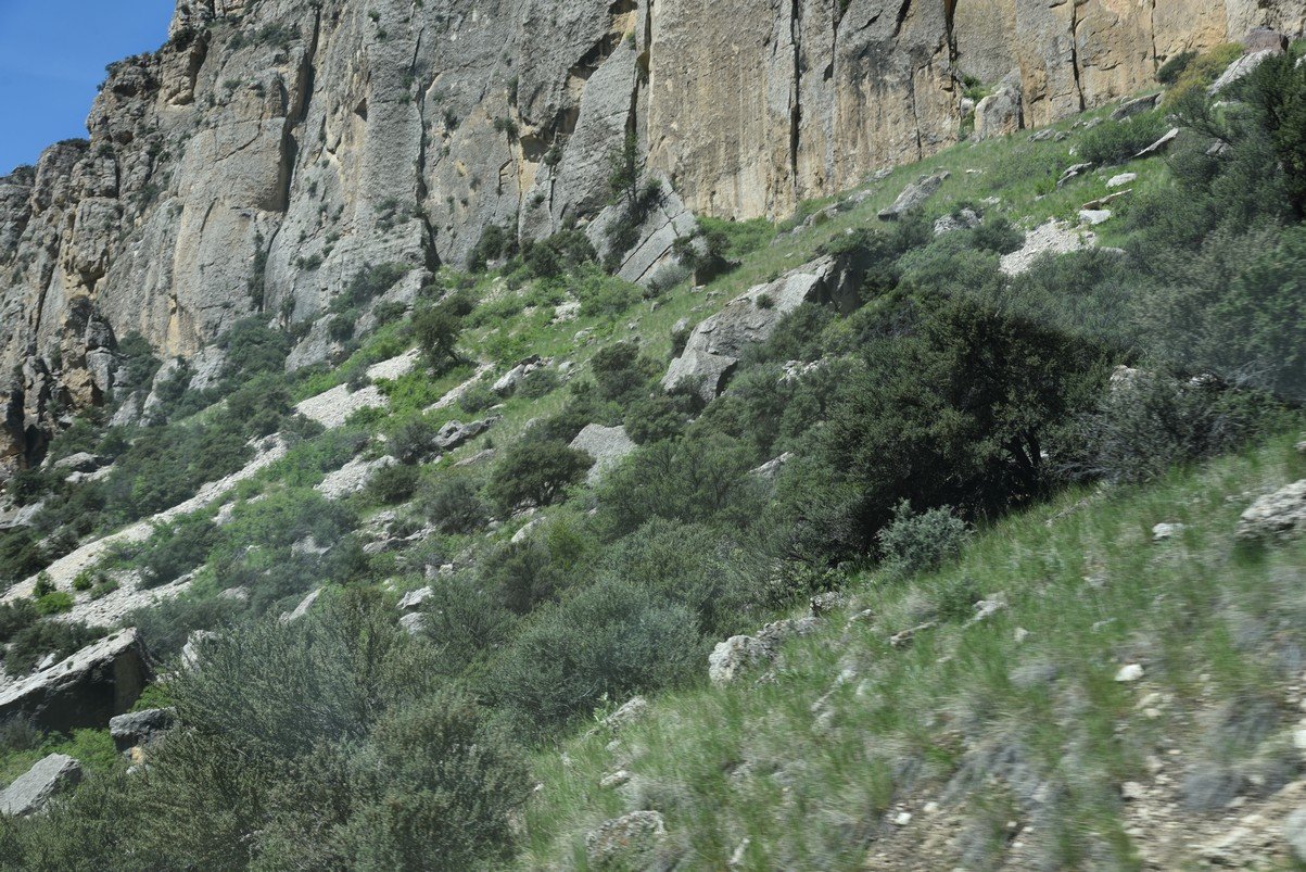 dsc_7842_fs.jpg