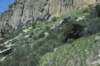 dsc_7842_fs_small.jpg