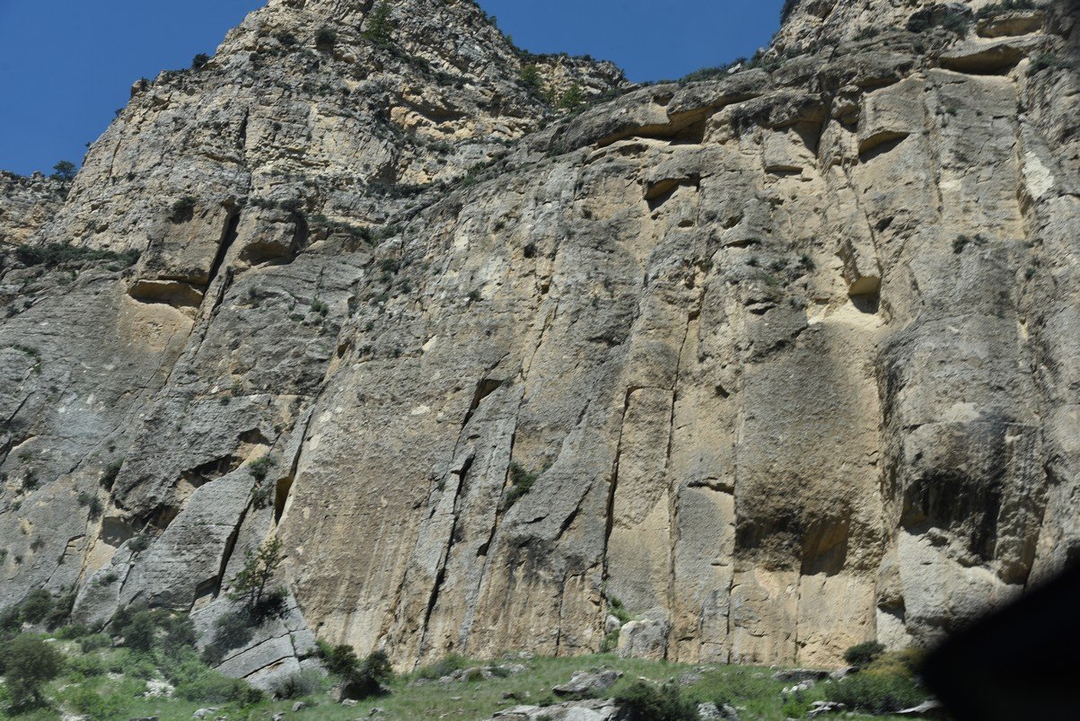 dsc_7843_fs.jpg
