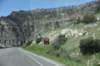 dsc_7845_fs_small.jpg