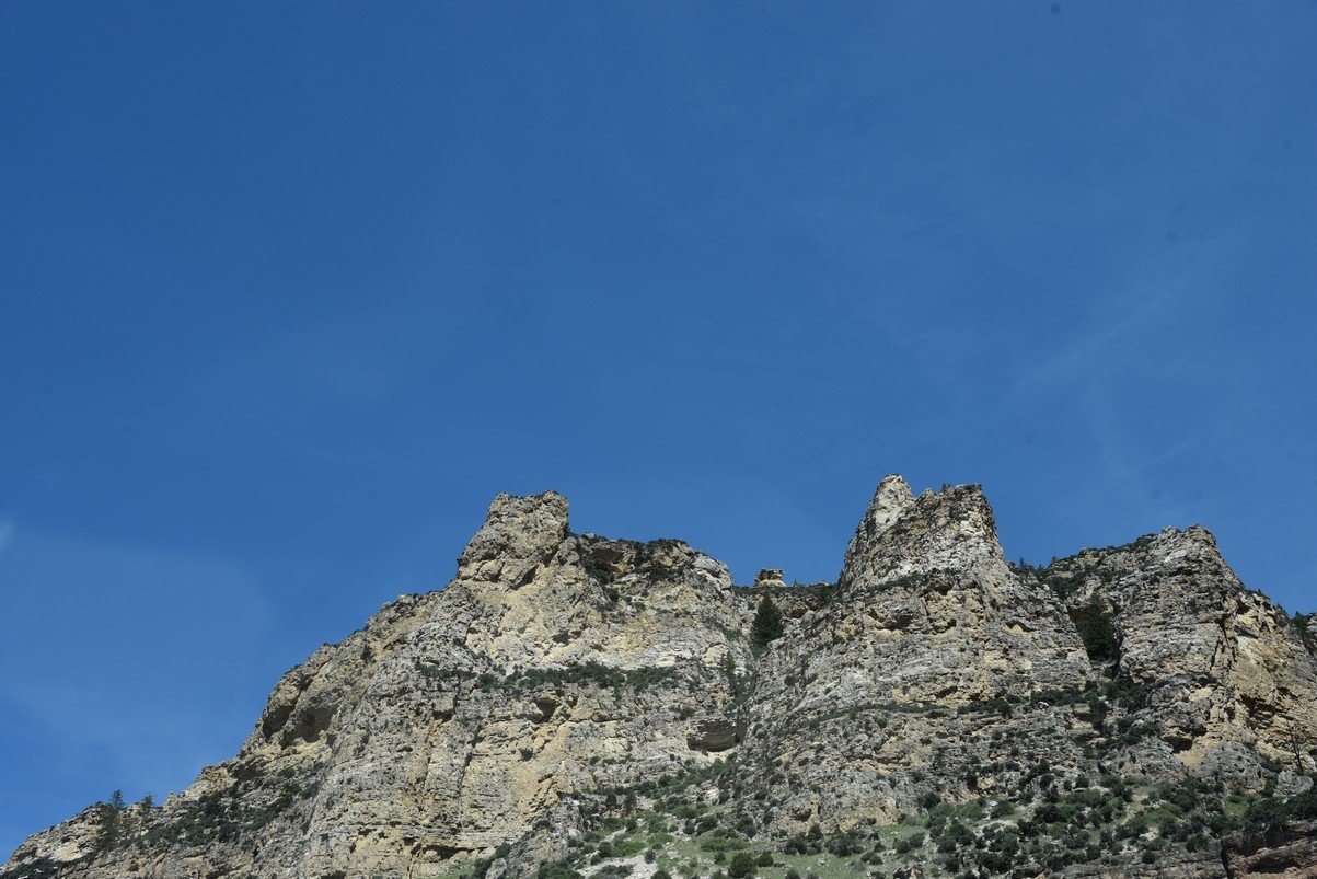 dsc_7849_fs.jpg