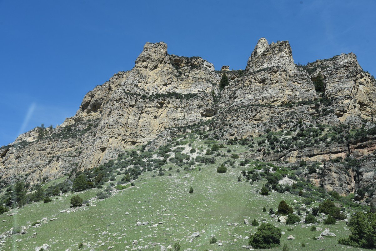dsc_7850_fs.jpg