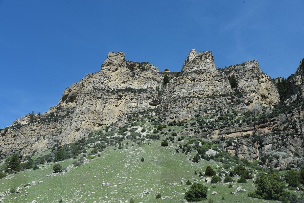 dsc_7851_fs.jpg