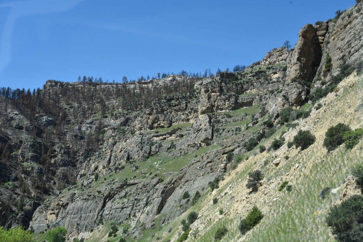 dsc_7854_fs.jpg