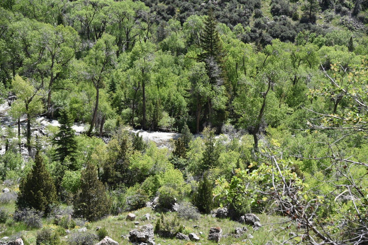 dsc_7868_fs.jpg