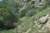 dsc_7876_fs_small.jpg