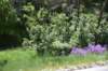 dsc_7877_fs_small.jpg