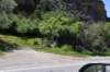 dsc_7878_fs_small.jpg