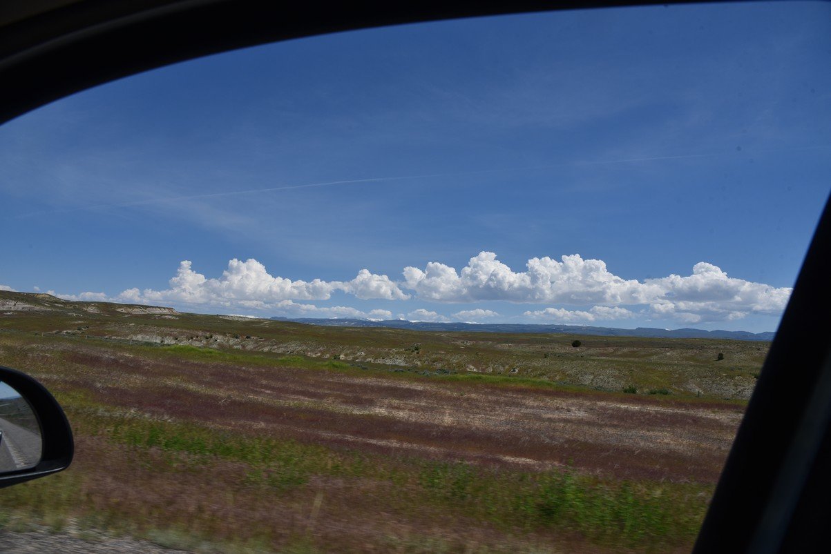 dsc_7910_fs.jpg