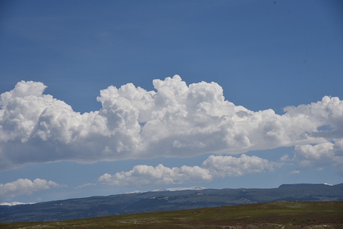 dsc_7913_fs.jpg
