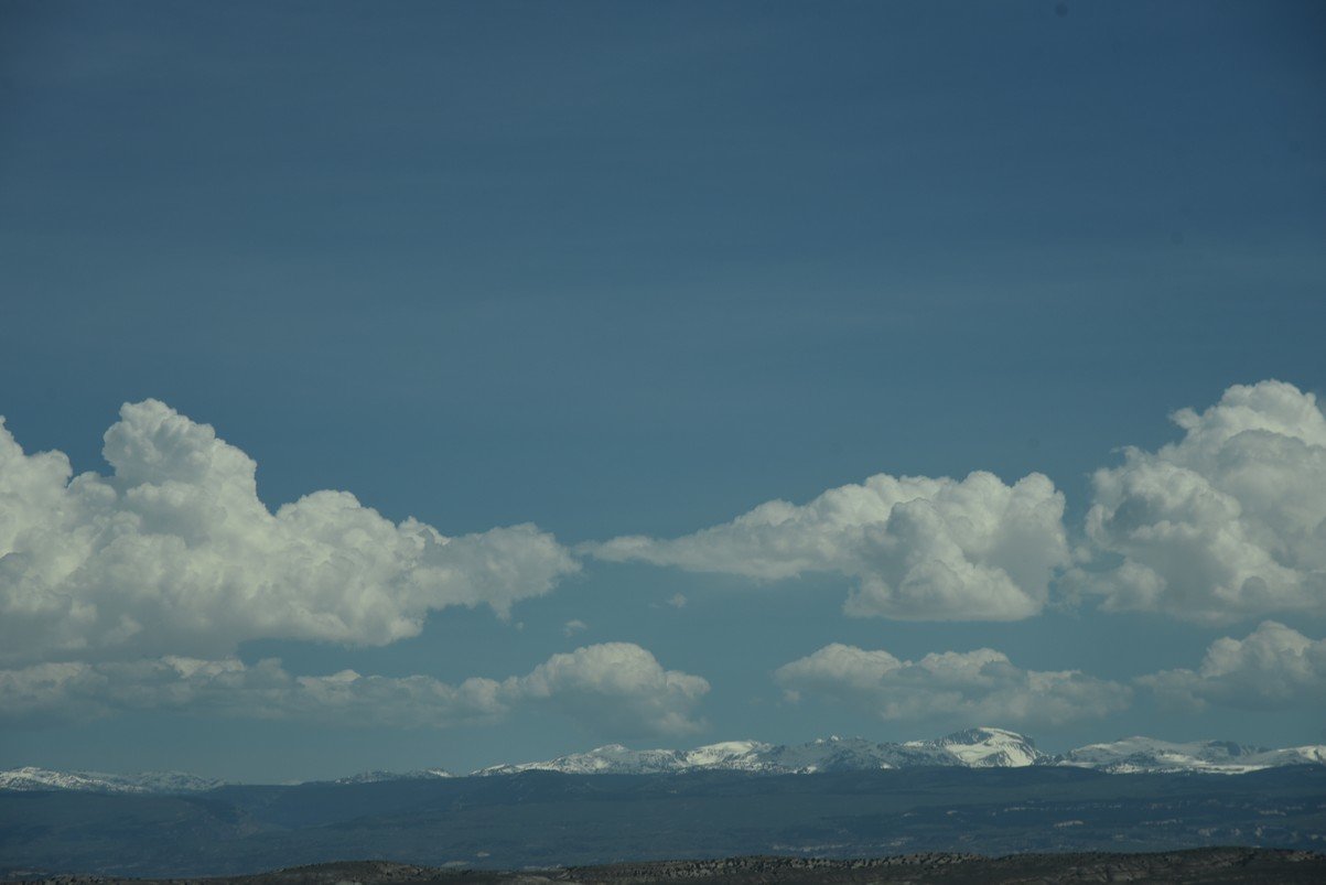 dsc_7933_fs.jpg