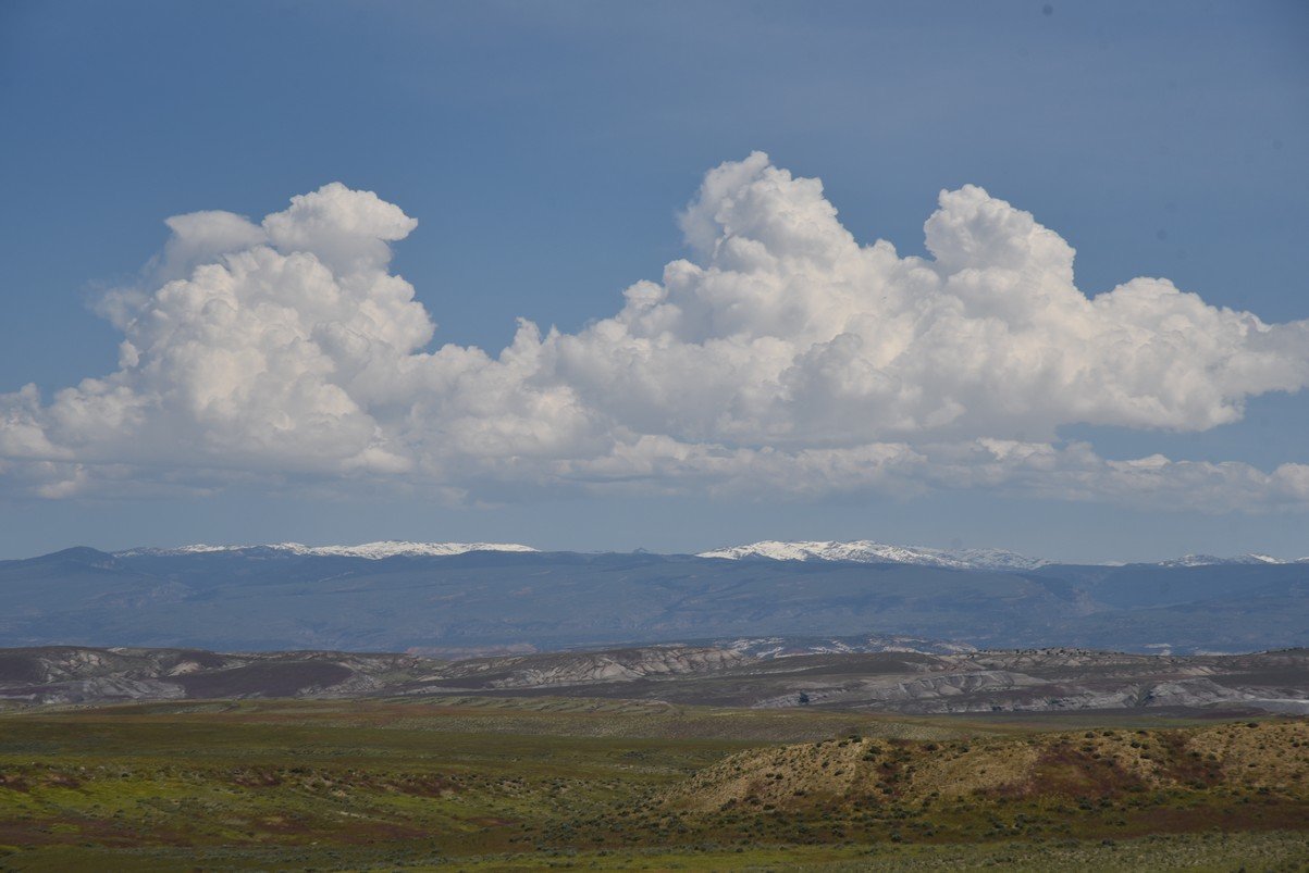 dsc_7938_fs.jpg