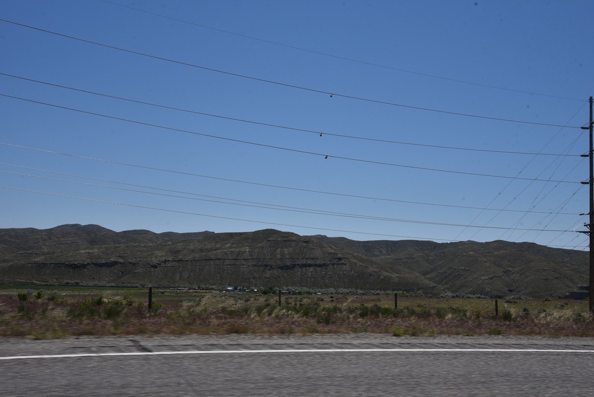 dsc_7979_fs.jpg