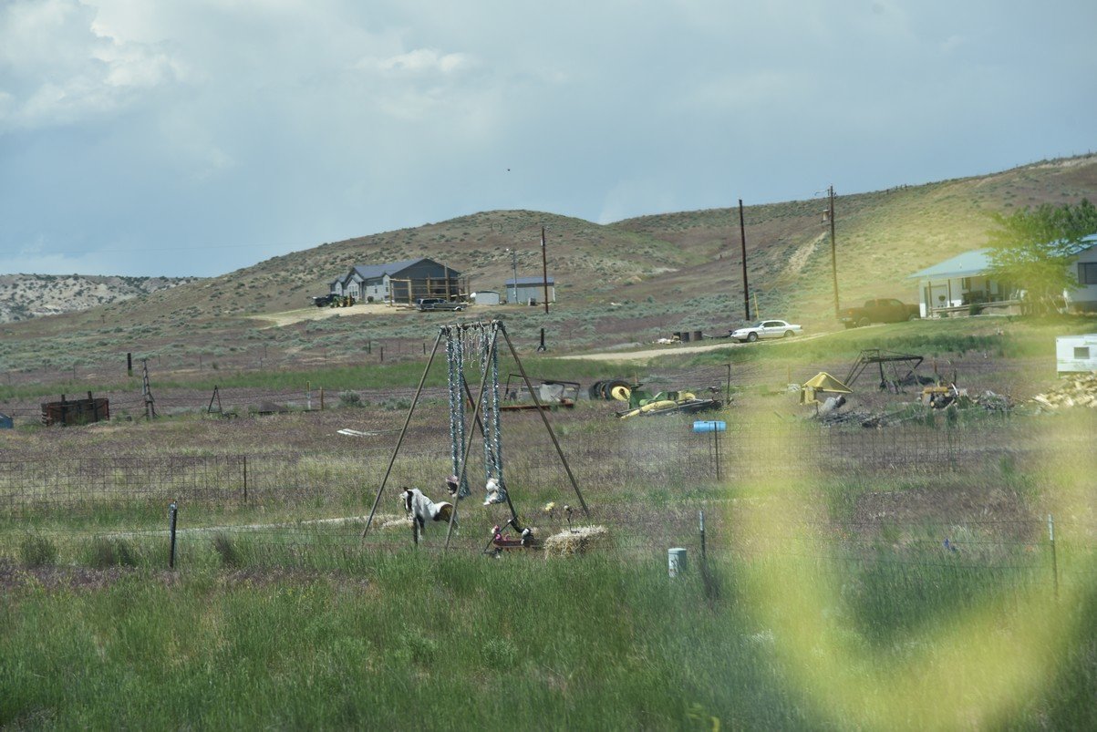 dsc_7987_fs.jpg