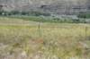 dsc_7988_fs_small.jpg