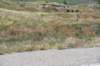 dsc_7989_fs_small.jpg