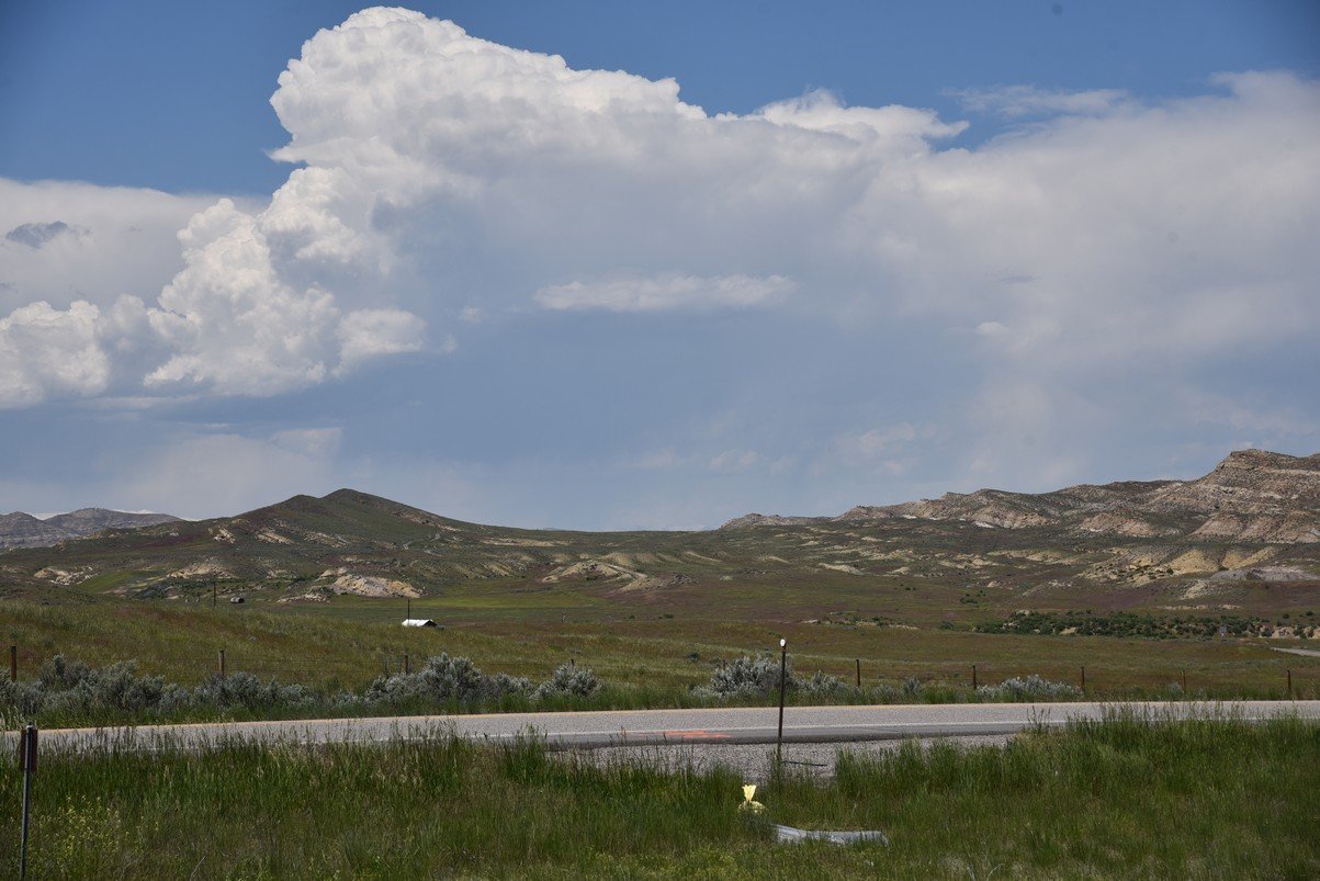 dsc_7999_fs.jpg