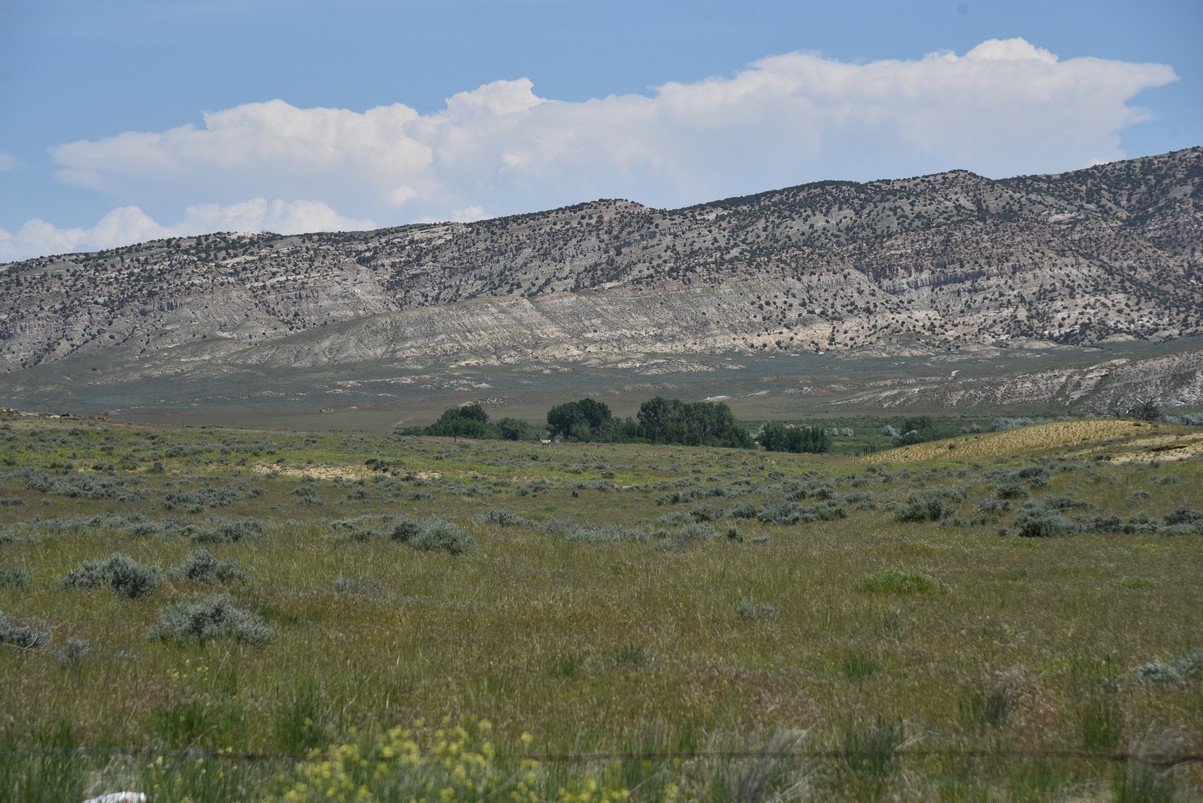 dsc_8014_fs.jpg