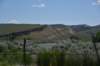 dsc_8027_fs_small.jpg