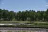 dsc_8031_fs_small.jpg