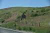 dsc_8032_fs_small.jpg