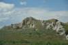 dsc_8070_fs_small.jpg