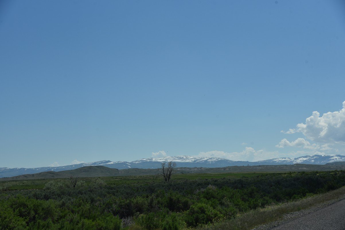 dsc_8100_fs.jpg