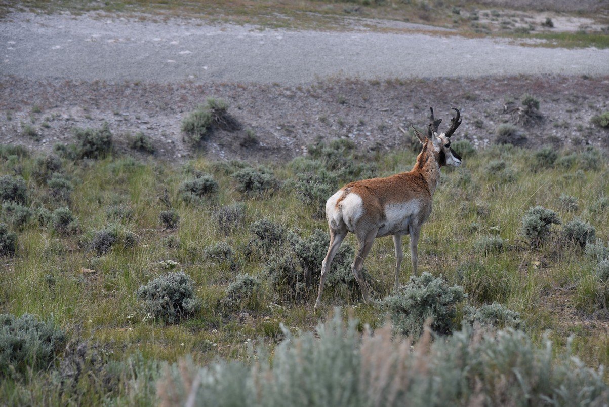 dsc_8107_fs.jpg
