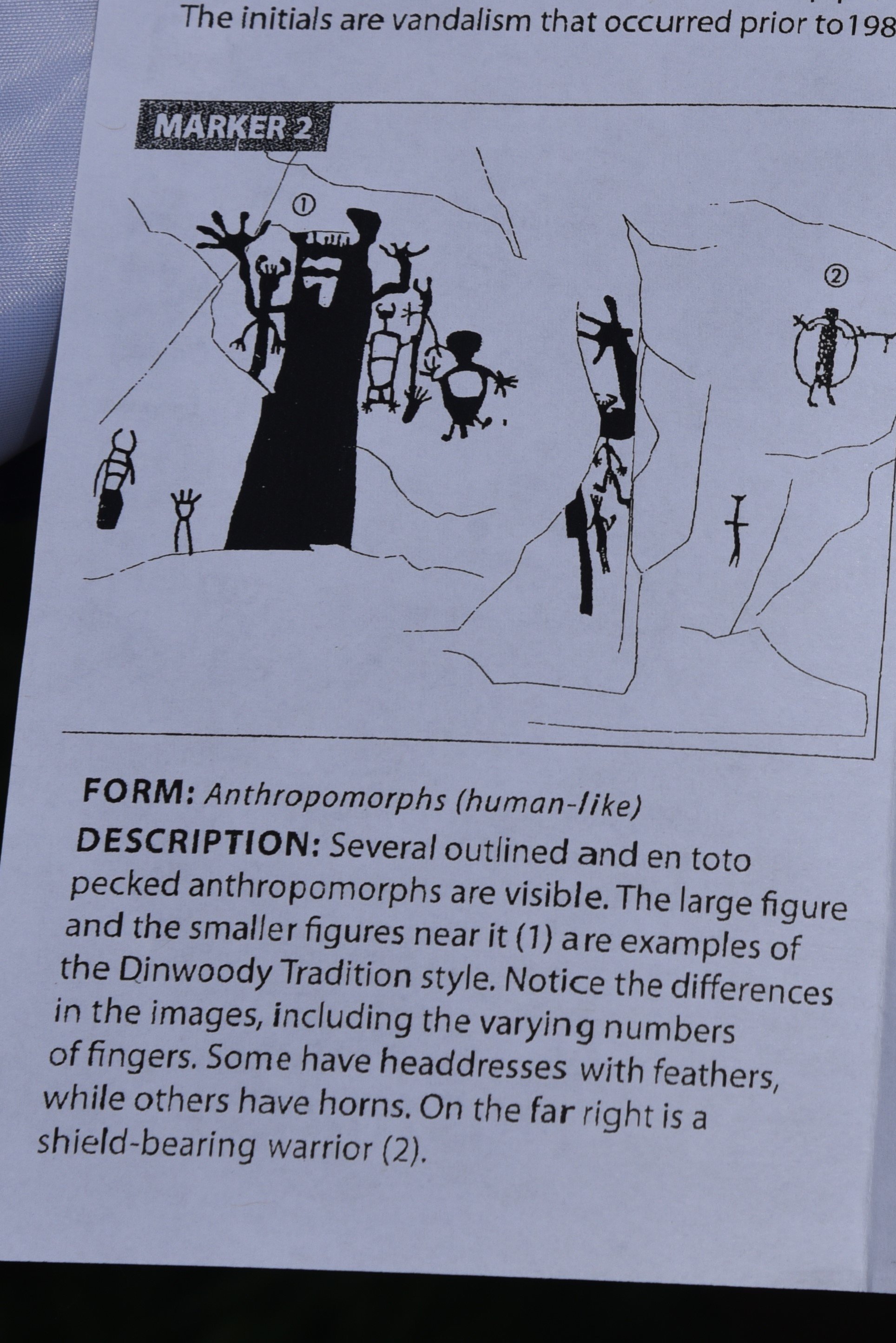 dsc_8111marker2.jpg