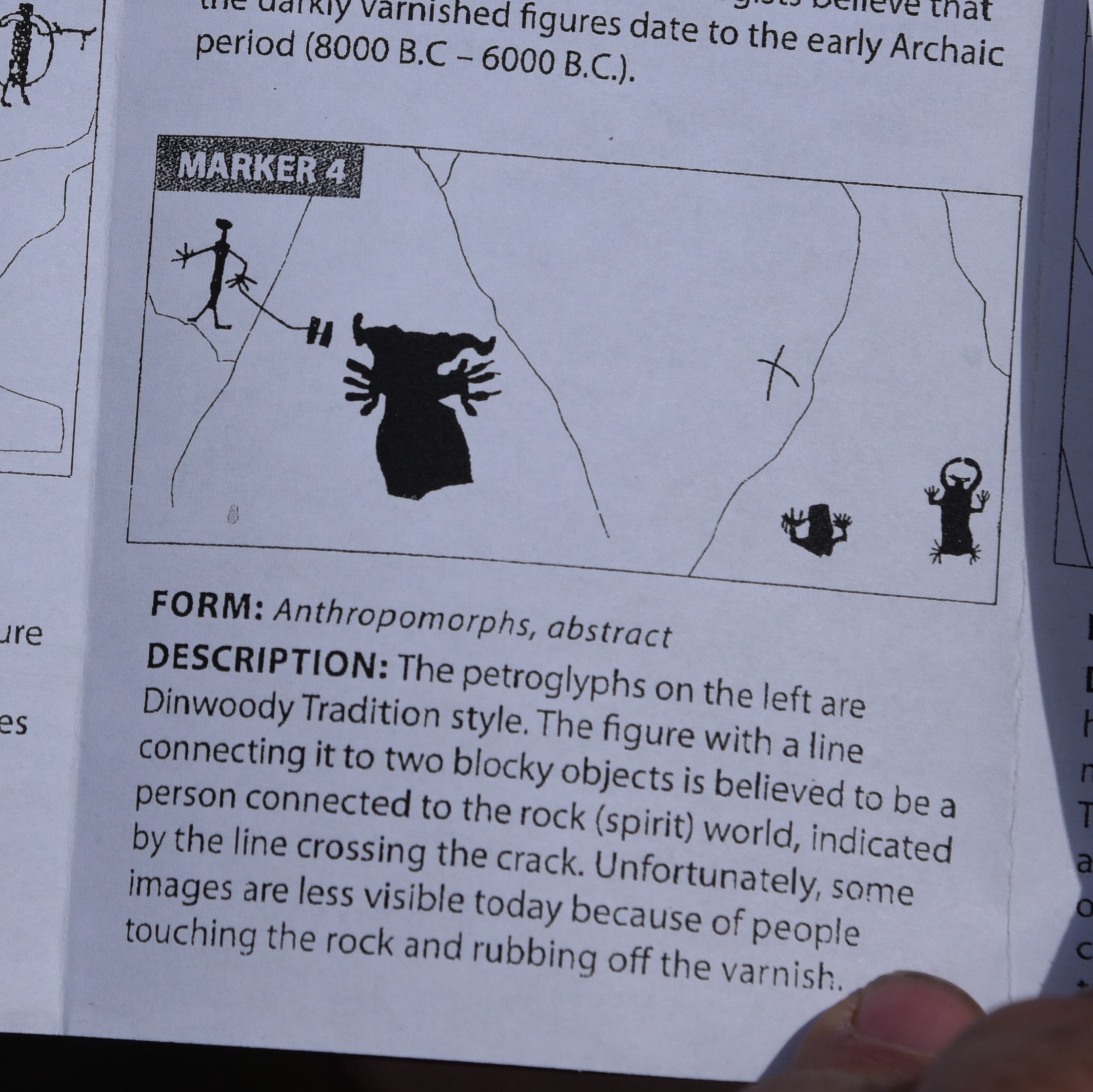 dsc_8111marker4.jpg