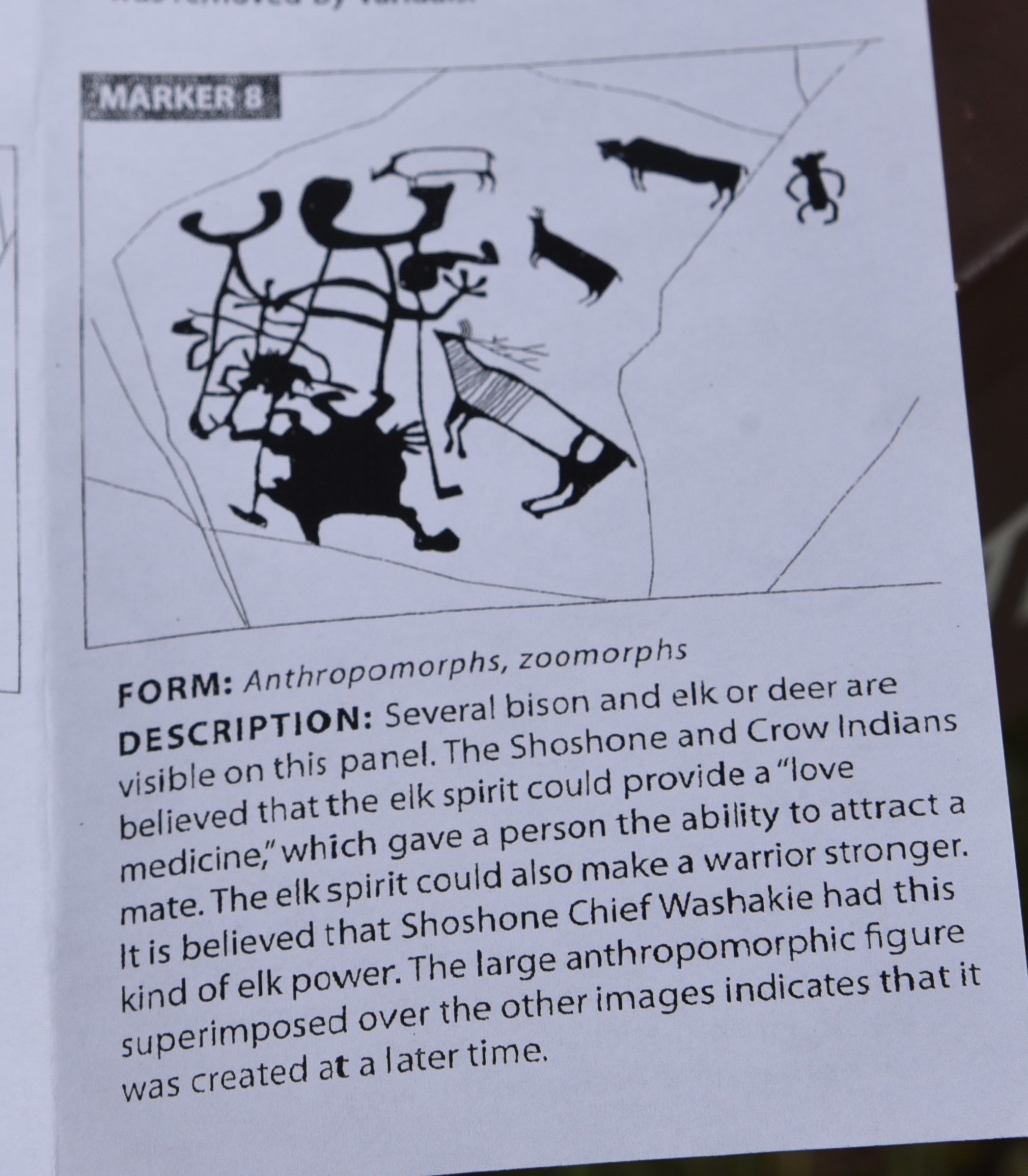 dsc_8112marker8.jpg